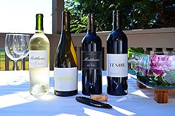 DREAM VISION FUNDRAISER FOR JAPAN RELIEF AT THE MATTHEWS WINERY